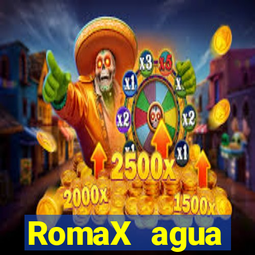 RomaX agua sanitaria fispq agua sanitaria romax